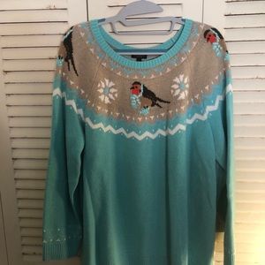 Turquoise sweater with bird accent design on top